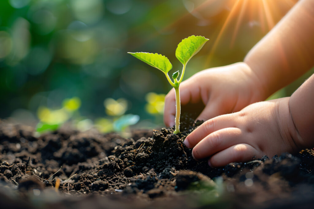 childs hand is holding small plant